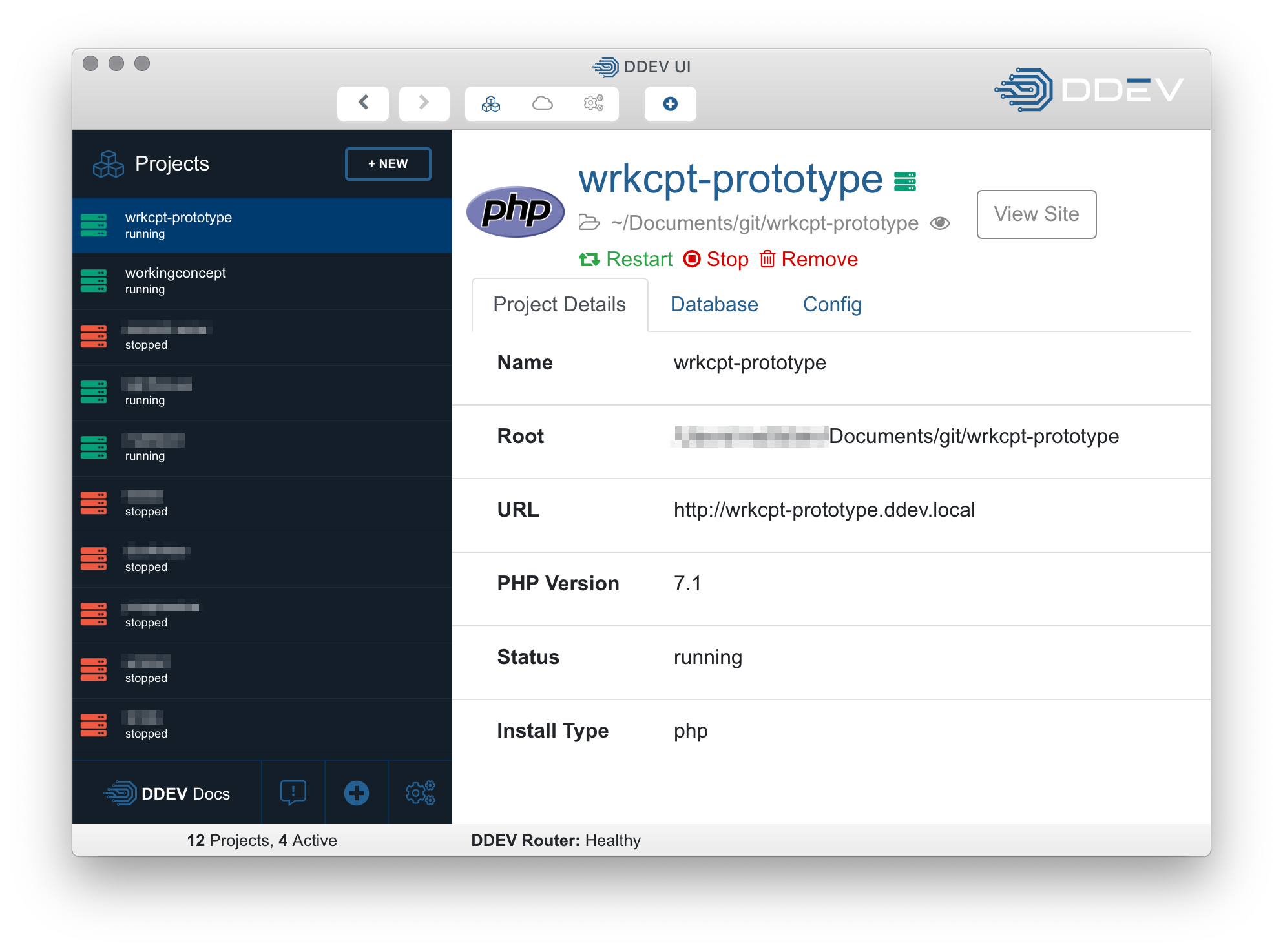 Screenshot of DDEV alpha UI.