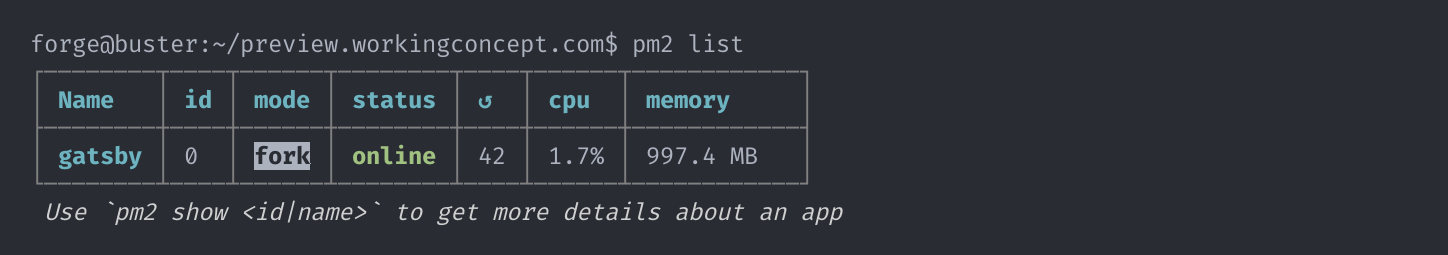 Screenshot of `pm2 list` command, displaying status of gatsby process.