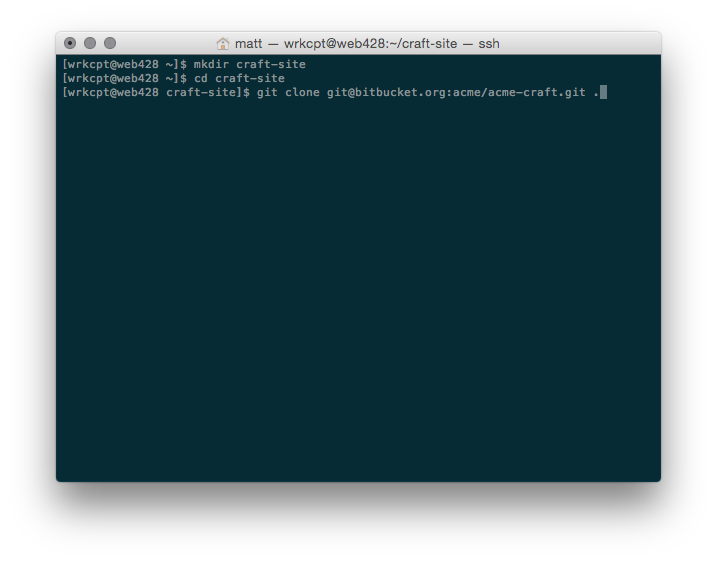 Screenshot of cloning project repository from the command line